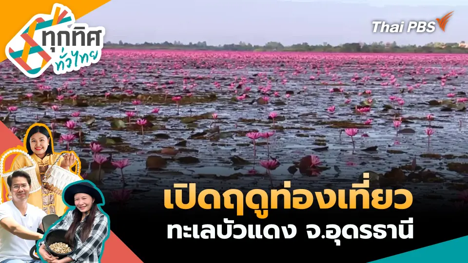 ทุกทิศทั่วไทย