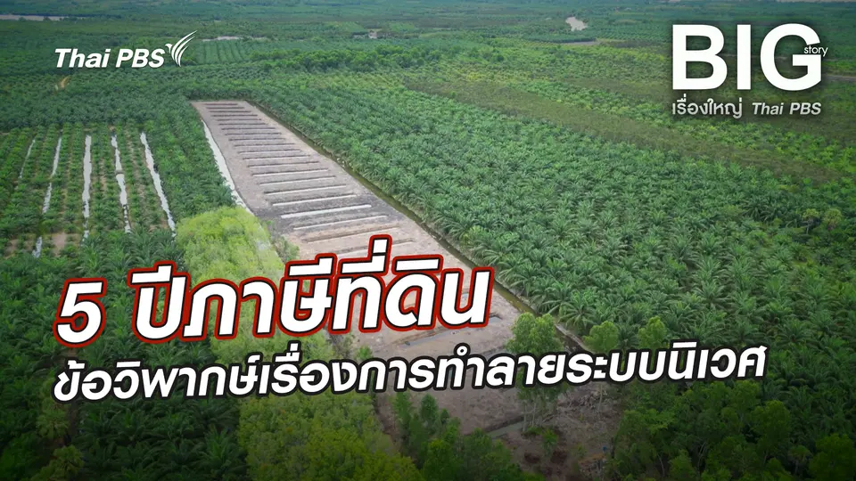 5 ปีภาษีที่ดิน ข้อวิพากษ์เรื่องการทำลายระบบนิเวศ