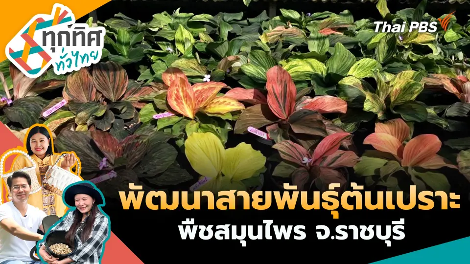 ทุกทิศทั่วไทย