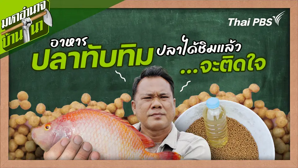 สูตรลับฉบับบ้านนา : อาหารปลาทับทิม ปลาได้ชิมแล้วจะติดใจ