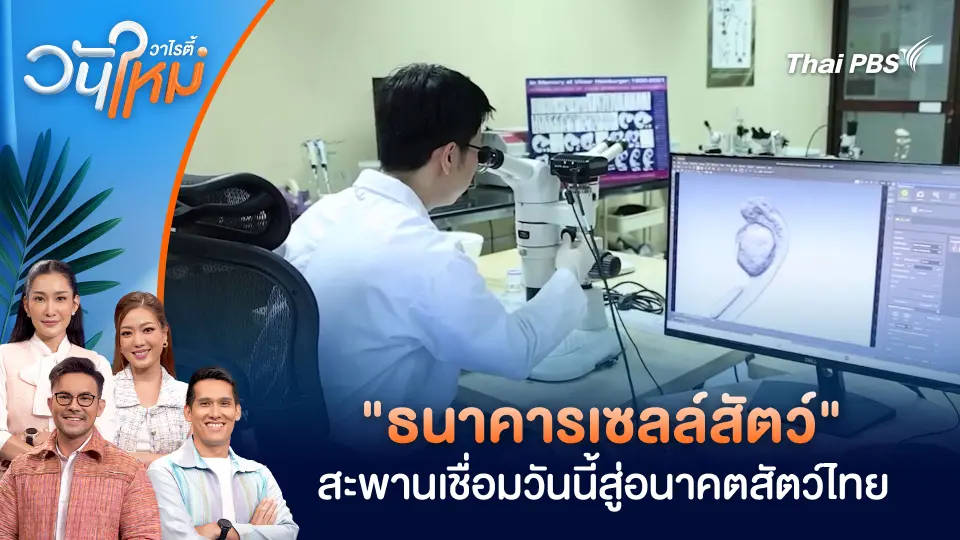 วันใหม่วาไรตี้