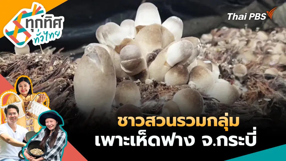 ทุกทิศทั่วไทย