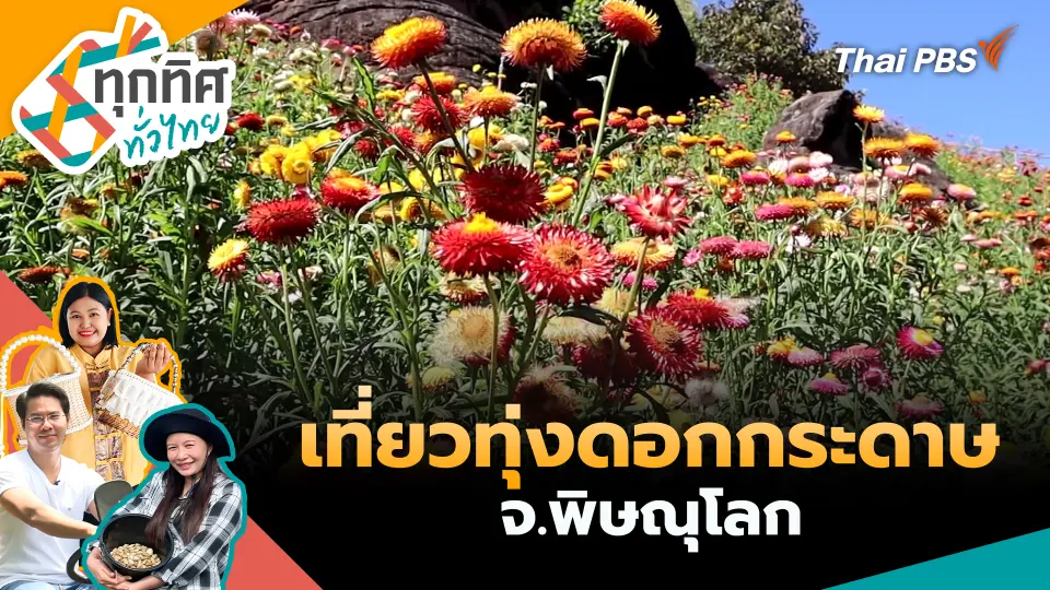 ทุกทิศทั่วไทย