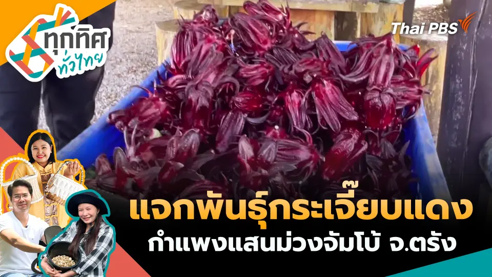 ทุกทิศทั่วไทย
