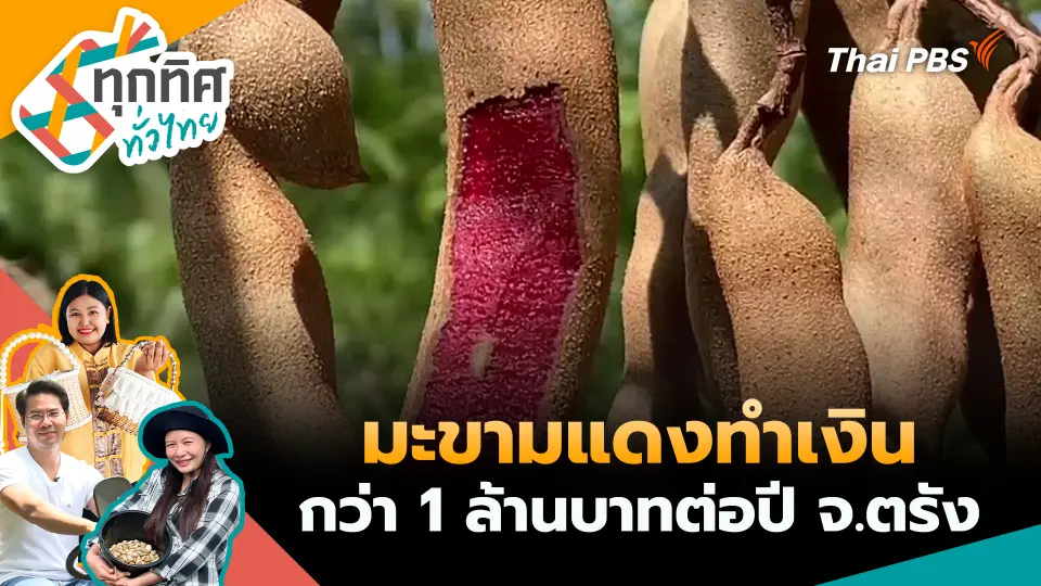 ทุกทิศทั่วไทย