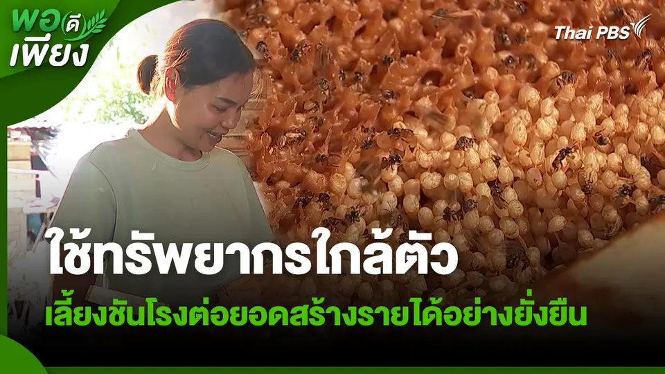 พอดีพอเพียง : ใช้ทรัพยากรใกล้ตัว เลี้ยงชันโรงต่อยอดสร้างรายได้อย่างยั่งยืน