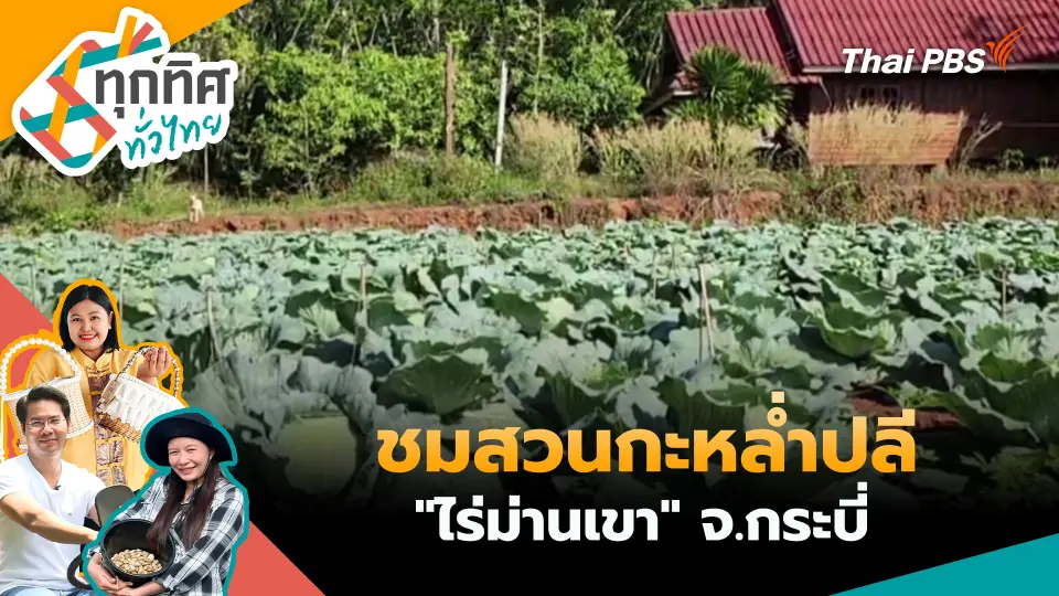 ทุกทิศทั่วไทย