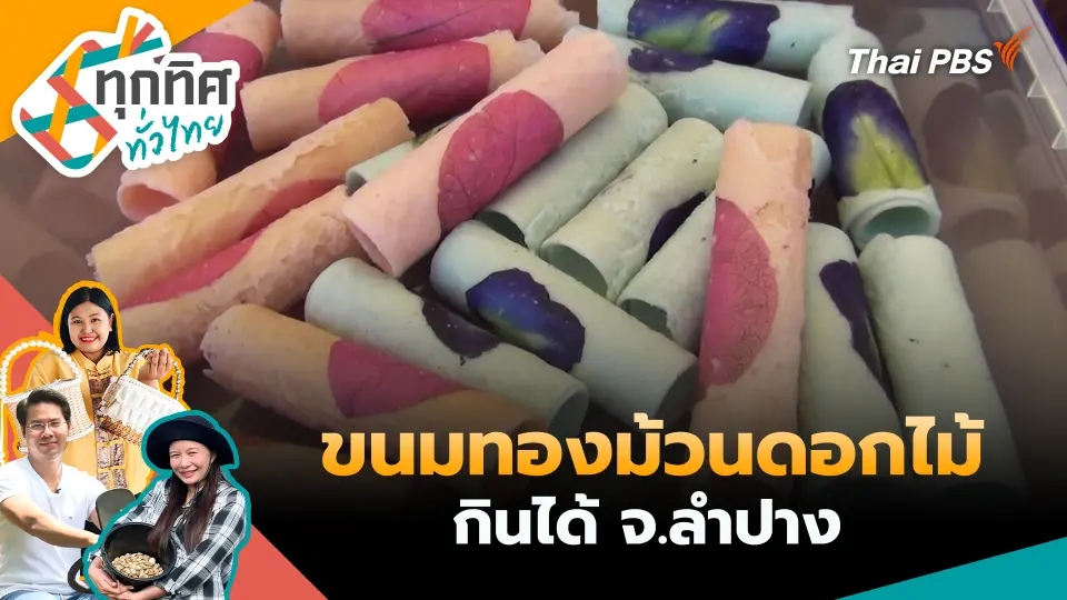ทุกทิศทั่วไทย
