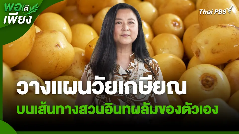 พอดีพอเพียง : วางแผนวัยเกษียณ บนเส้นทางสวนอินทผลัมของตัวเอง