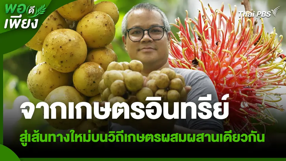 พอดีพอเพียง : จากเกษตรอินทรีย์ สู่เส้นทางใหม่บนวิถีเกษตรผสมผสานเดียวกัน