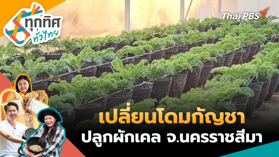 ทุกทิศทั่วไทย