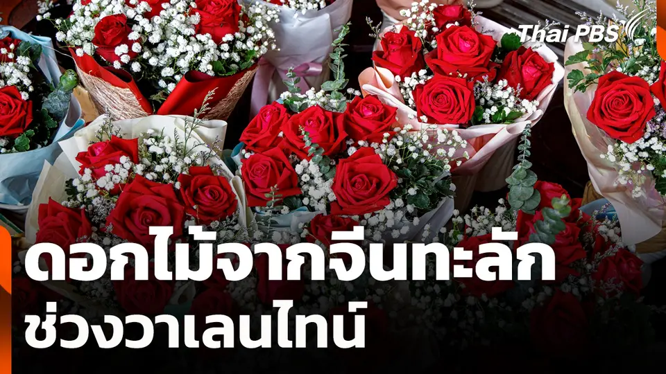 ดอกไม้จากจีนทะลักช่วงวาเลนไทน์