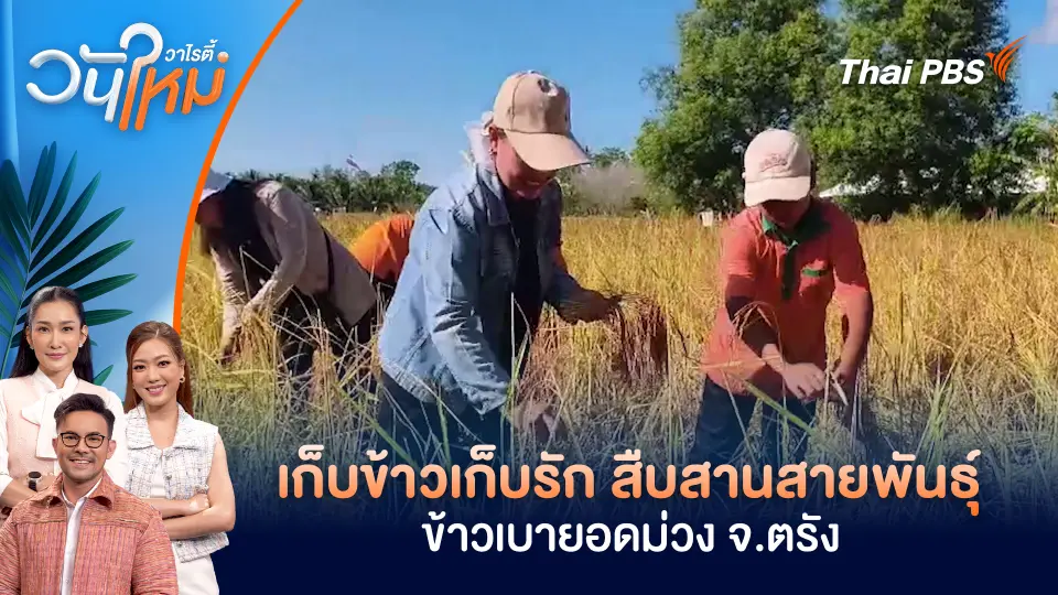 วันใหม่วาไรตี้
