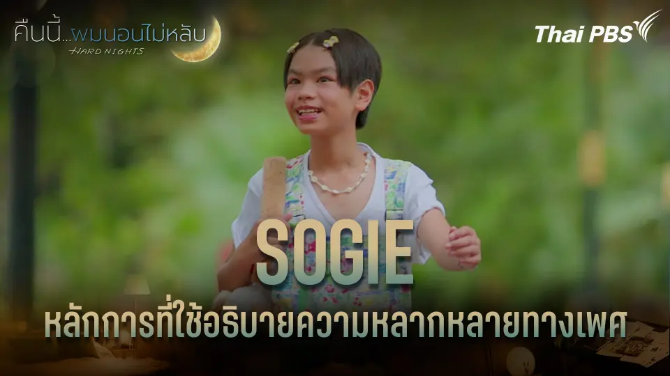 SOGIE หลักการที่ใช้อธิบายความหลากหลายทางเพศ