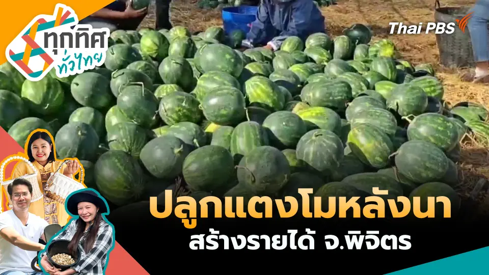 ทุกทิศทั่วไทย