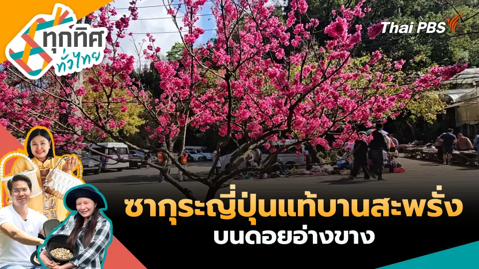 ทุกทิศทั่วไทย
