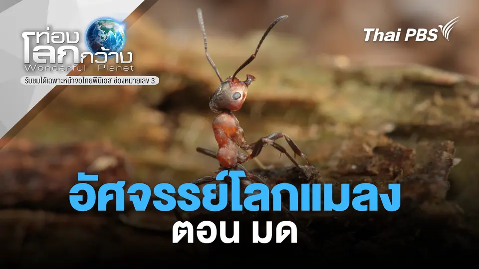 ท่องโลกกว้าง