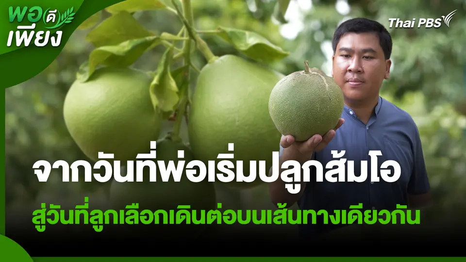 พอดีพอเพียง : จากวันที่พ่อเริ่มปลูกส้มโอ สู่วันที่ลูกเลือกเดินต่อบนเส้นทางเดียวกัน