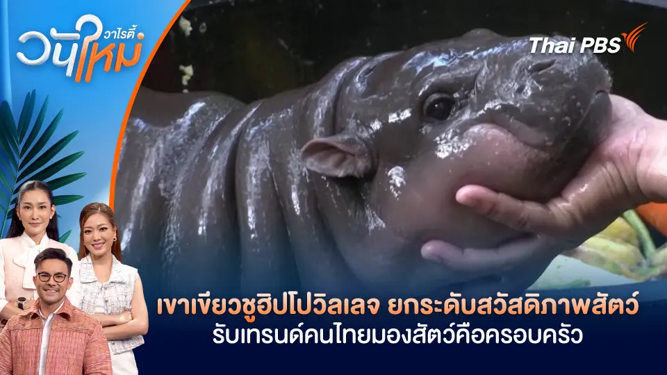 วันใหม่วาไรตี้
