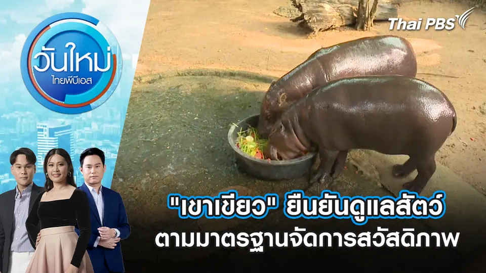 วันใหม่  ไทยพีบีเอส