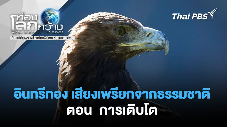 ท่องโลกกว้าง