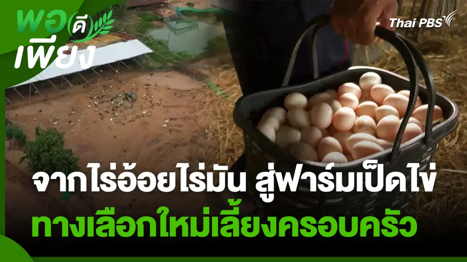 จากไร่อ้อยไร่มัน สู่ฟาร์มเป็ดไข่ ทางเลือกใหม่เลี้ยงครอบครัว