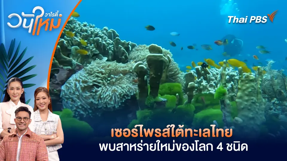 วันใหม่วาไรตี้
