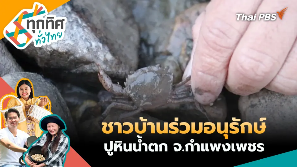 ทุกทิศทั่วไทย