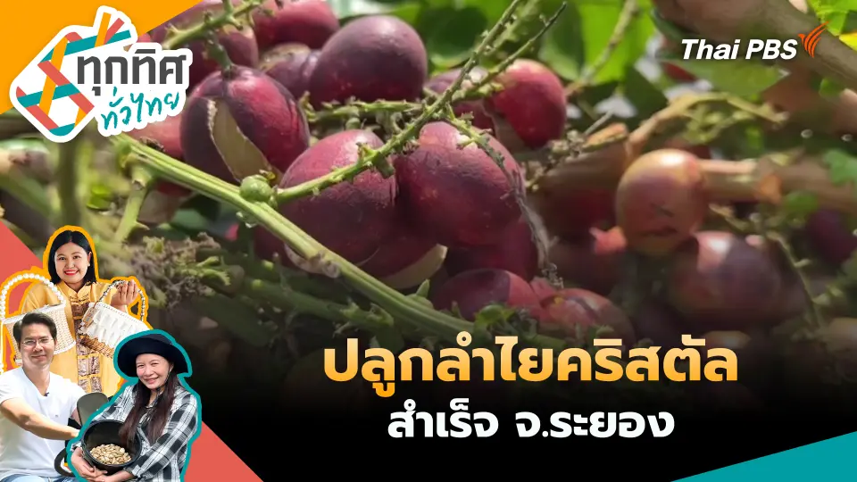ทุกทิศทั่วไทย