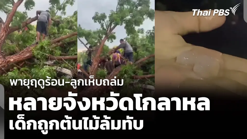 พายุฤดูร้อน-ลูกเห็บถล่ม หลายจังหวัดโกลาหล เด็กถูกต้นไม้ล้มทับ