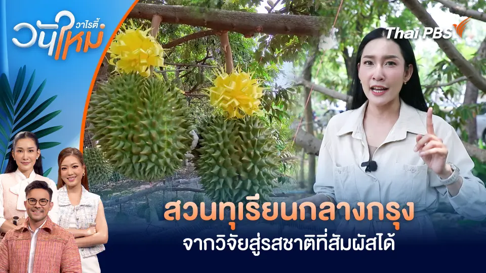 วันใหม่วาไรตี้