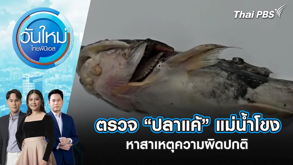 วันใหม่  ไทยพีบีเอส