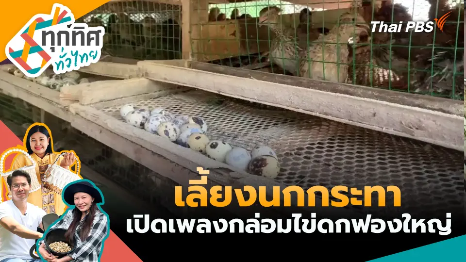 ทุกทิศทั่วไทย