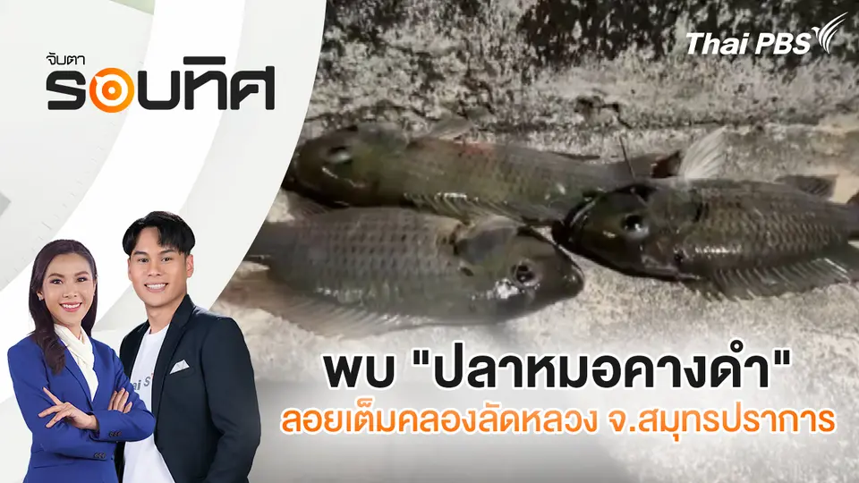 จับตารอบทิศ