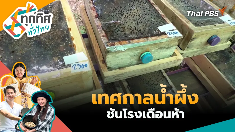 ทุกทิศทั่วไทย