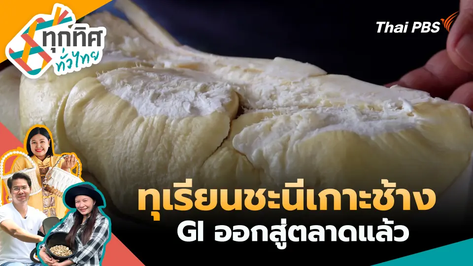 ทุกทิศทั่วไทย