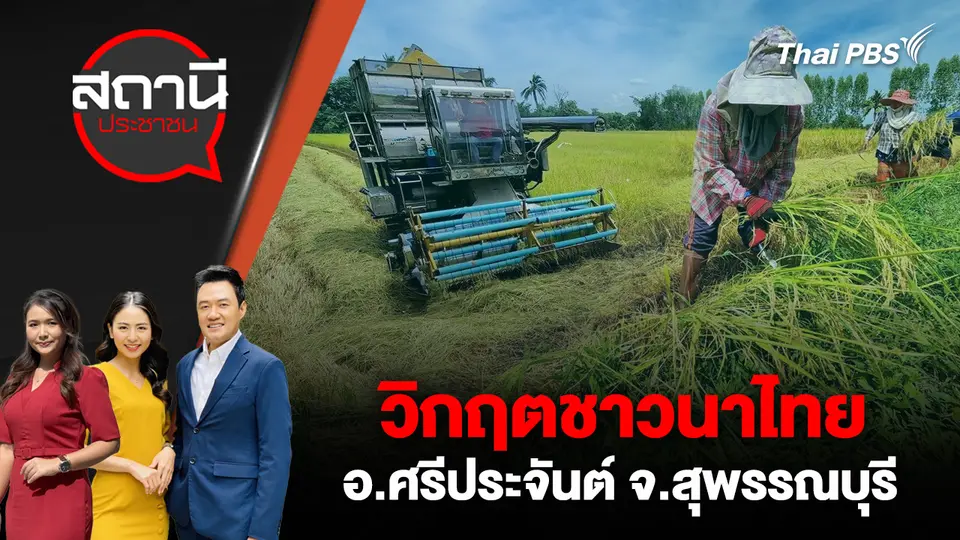 วิกฤตชาวนาไทย อ.ศรีประจันต์ จ.สุพรรณบุรี