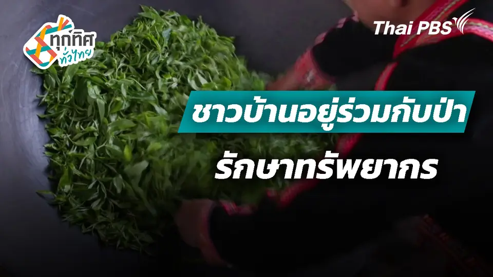 ชาวบ้านอยู่ร่วมกับป่ารักษาทรัพยากร จ.เชียงใหม่