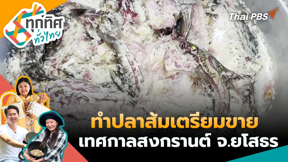 ทุกทิศทั่วไทย