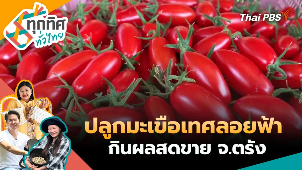 ทุกทิศทั่วไทย