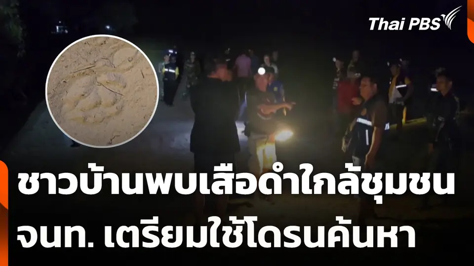 ชาวบ้านพบเสือดำใกล้ชุมชน เตรียมใช้โดรนค้นหา