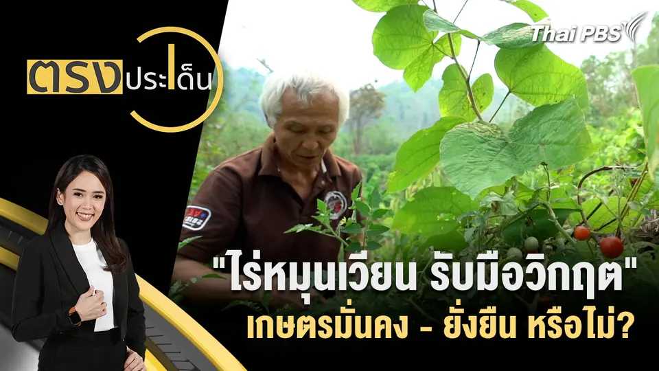 ตรงประเด็น