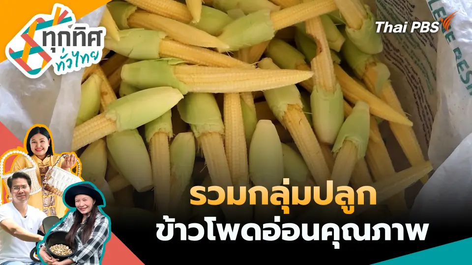 ทุกทิศทั่วไทย
