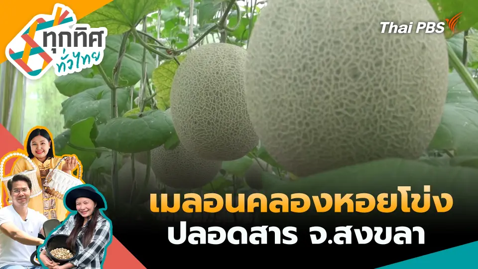 ทุกทิศทั่วไทย