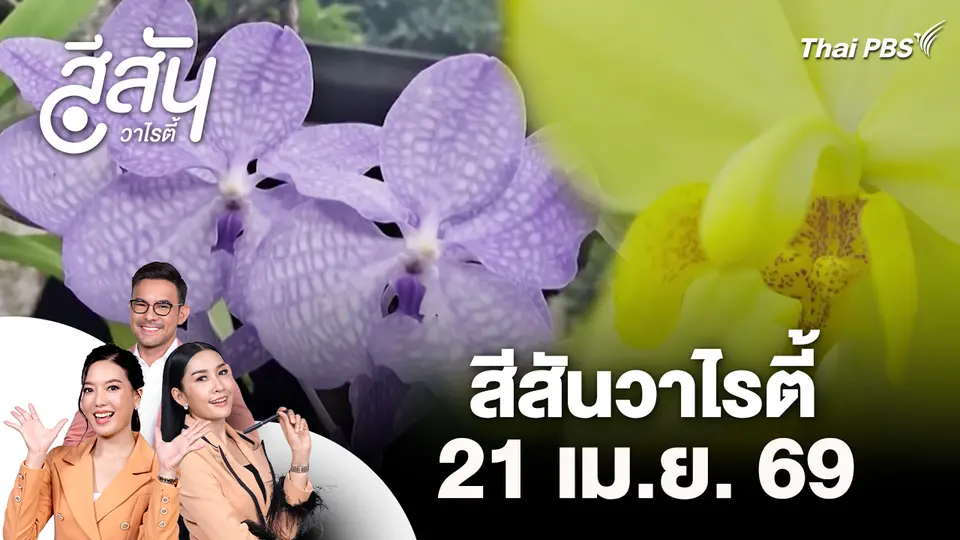 สีสันวาไรตี้ (21 เม.ย. 69)