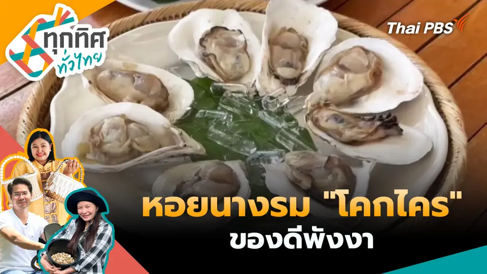 ทุกทิศทั่วไทย