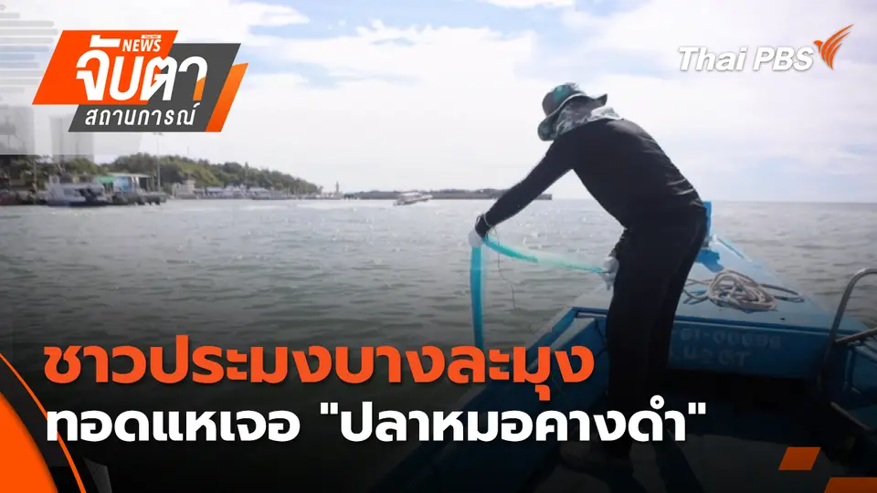 จับตาสถานการณ์