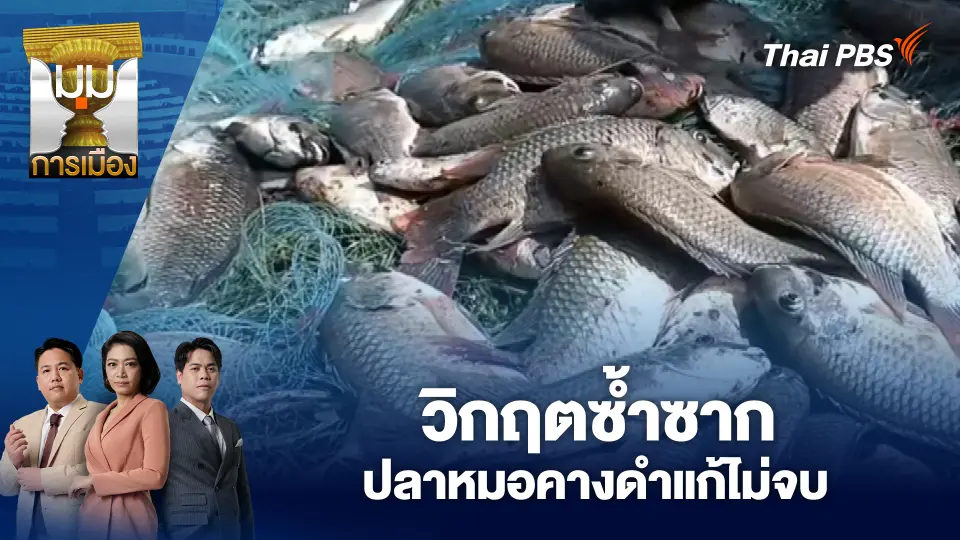 วิกฤตซ้ำซาก ปลาหมอคางดำแก้ไม่จบ