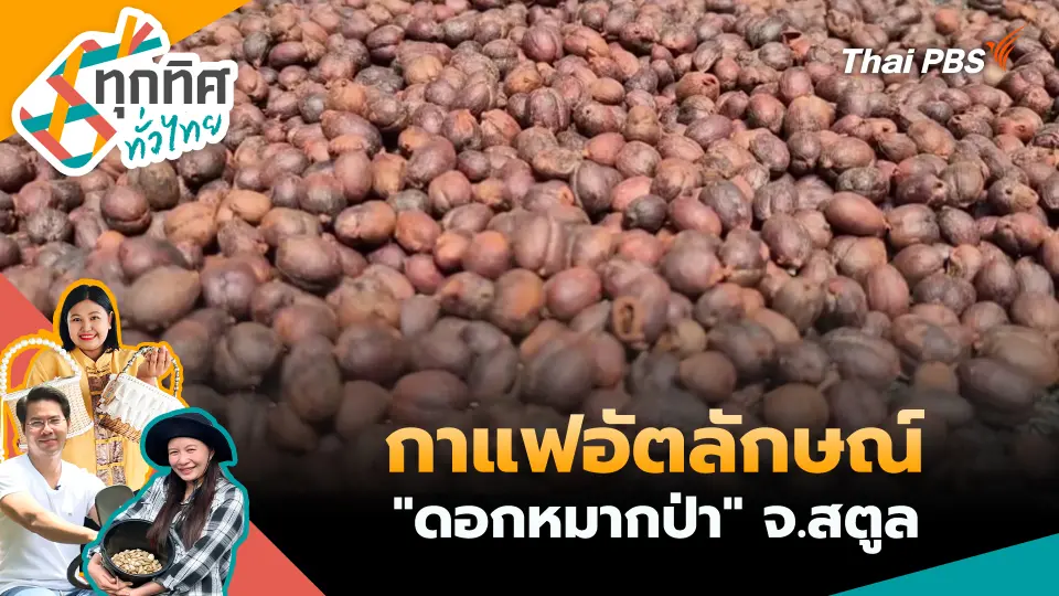ทุกทิศทั่วไทย