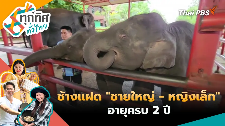 ทุกทิศทั่วไทย